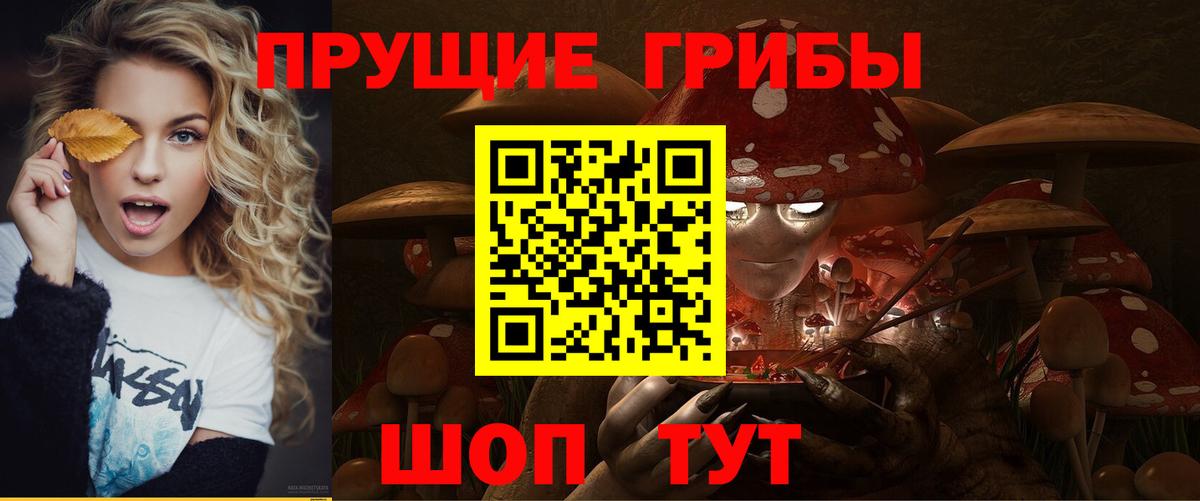 Галлюциногенные грибы GOLDEN TEACHER  цена наркотик  Старая Купавна  Вход с VPN  Галлюциногенные грибы ЛСД 